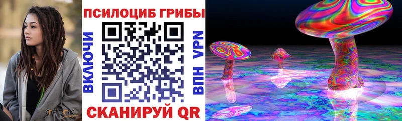 Псилоцибиновые грибы прущие грибы  блэк спрут онион  Стерлитамак 